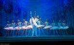 Jezioro Łabędzie – Royal Lviv Ballet • Dzierżoniów • 12.11.2021